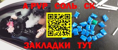 a pvp Камышлов