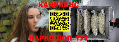 a pvp Камышлов