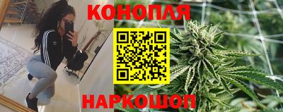 a pvp Камышлов