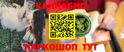a pvp Камышлов