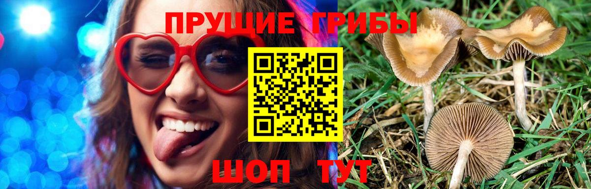 Карабулак  Галлюциногенные грибы мухоморы  Вход с VPN 